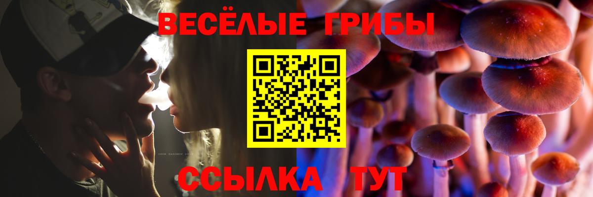 Псилоцибиновые грибы MAGIC MUSHROOMS  Псилоцибиновые грибы ЛСД  Вход с VPN  Кушва 