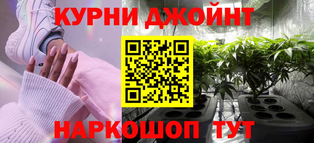 Марихуана семена Кушва